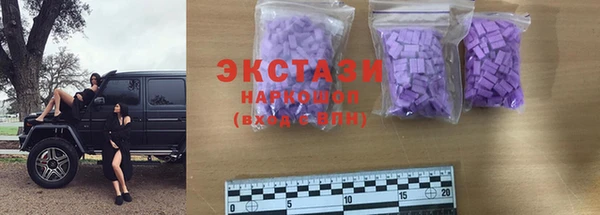 хмурый Белокуриха
