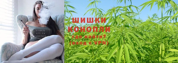 хмурый Белокуриха