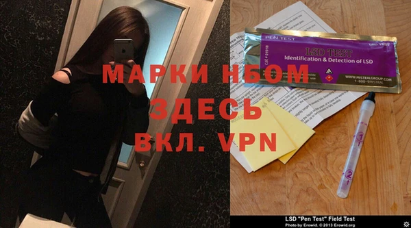 хмурый Белокуриха