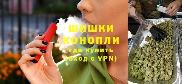 хмурый Белокуриха