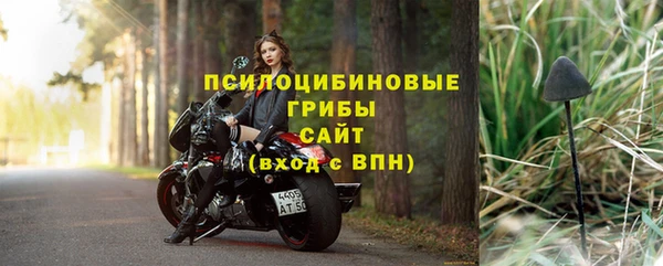 хмурый Белокуриха