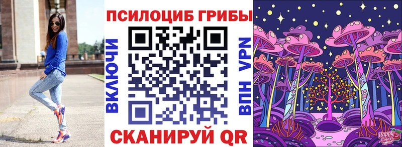 Галлюциногенные грибы Cubensis  Купить  Палласовка 