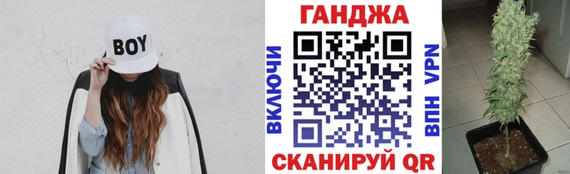Купить где  Палласовка  Конопля Amnesia 